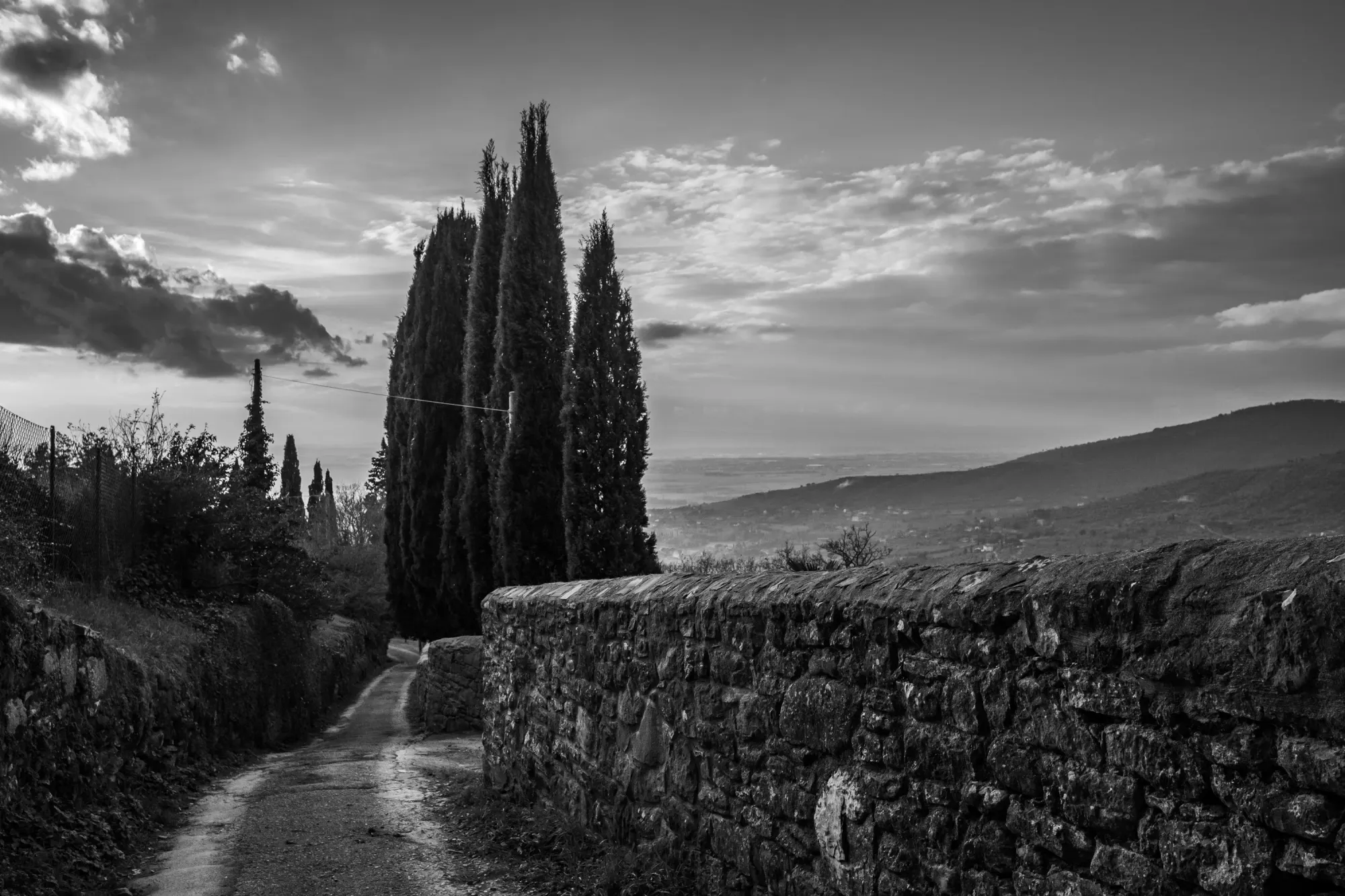 A monochromatic digital photograph of a road in Tuscany bordered by a stone wall and cypress trees. Hills, a valley, and backlit clouds are in the background.