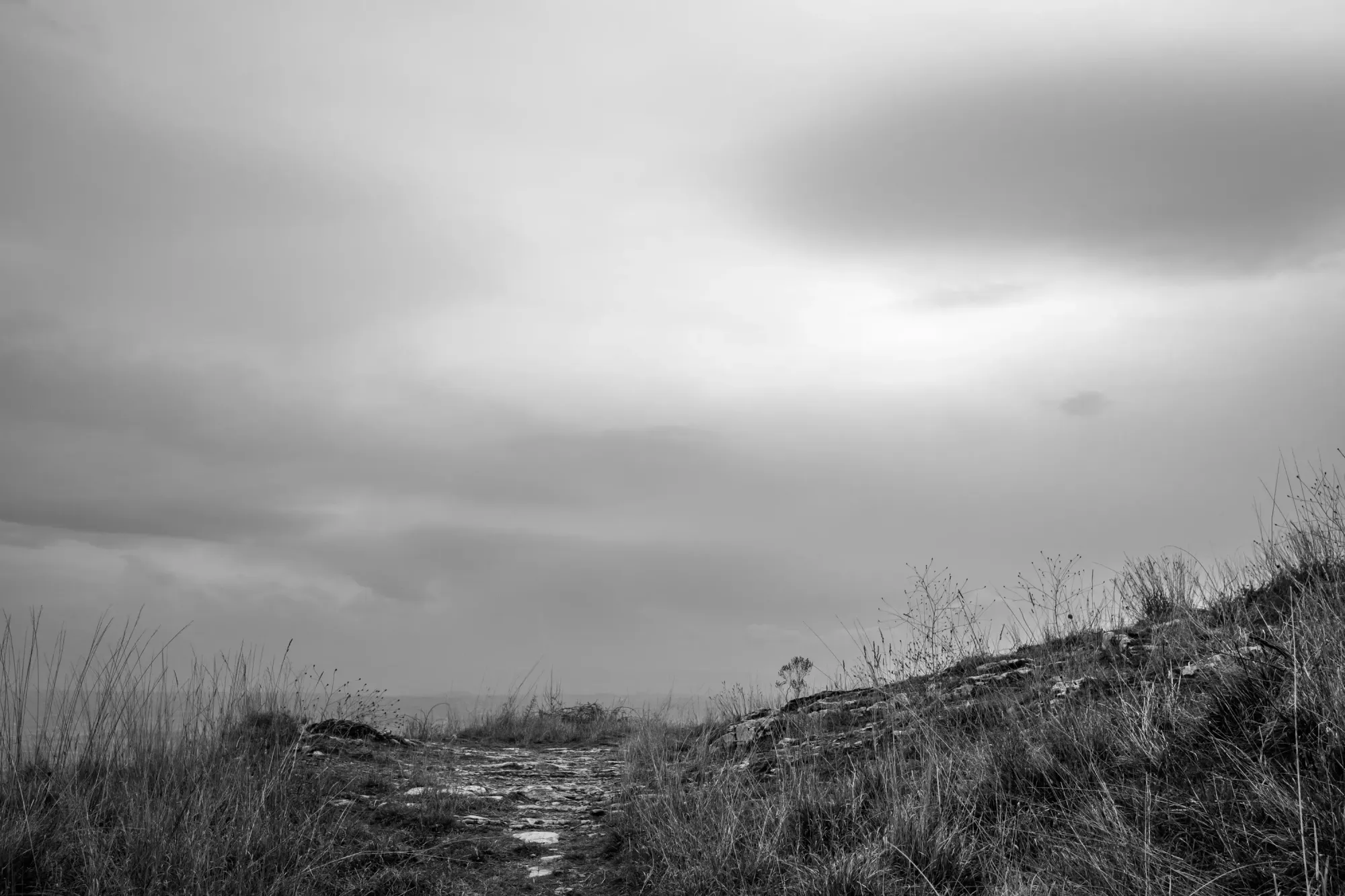 A monochromatic digital photograph of subtle gradients in an overcast winter sky. In the foreground is a bit of Tuscan landscape, including stones of a Roman road. 